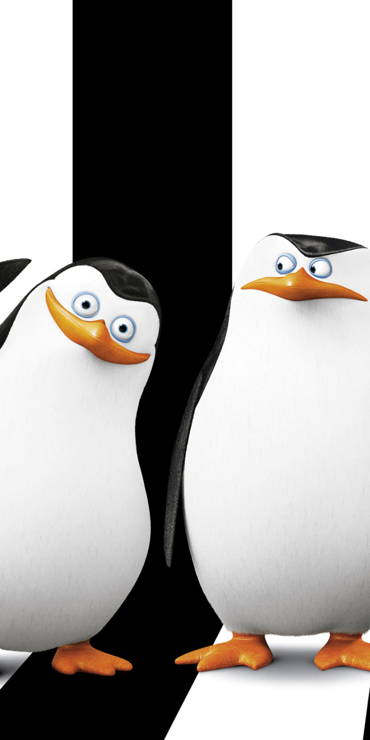 The Penguins of Madagascar Picture - Image Abyss