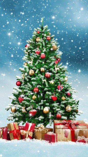  Decorated Christmas Tree Outside