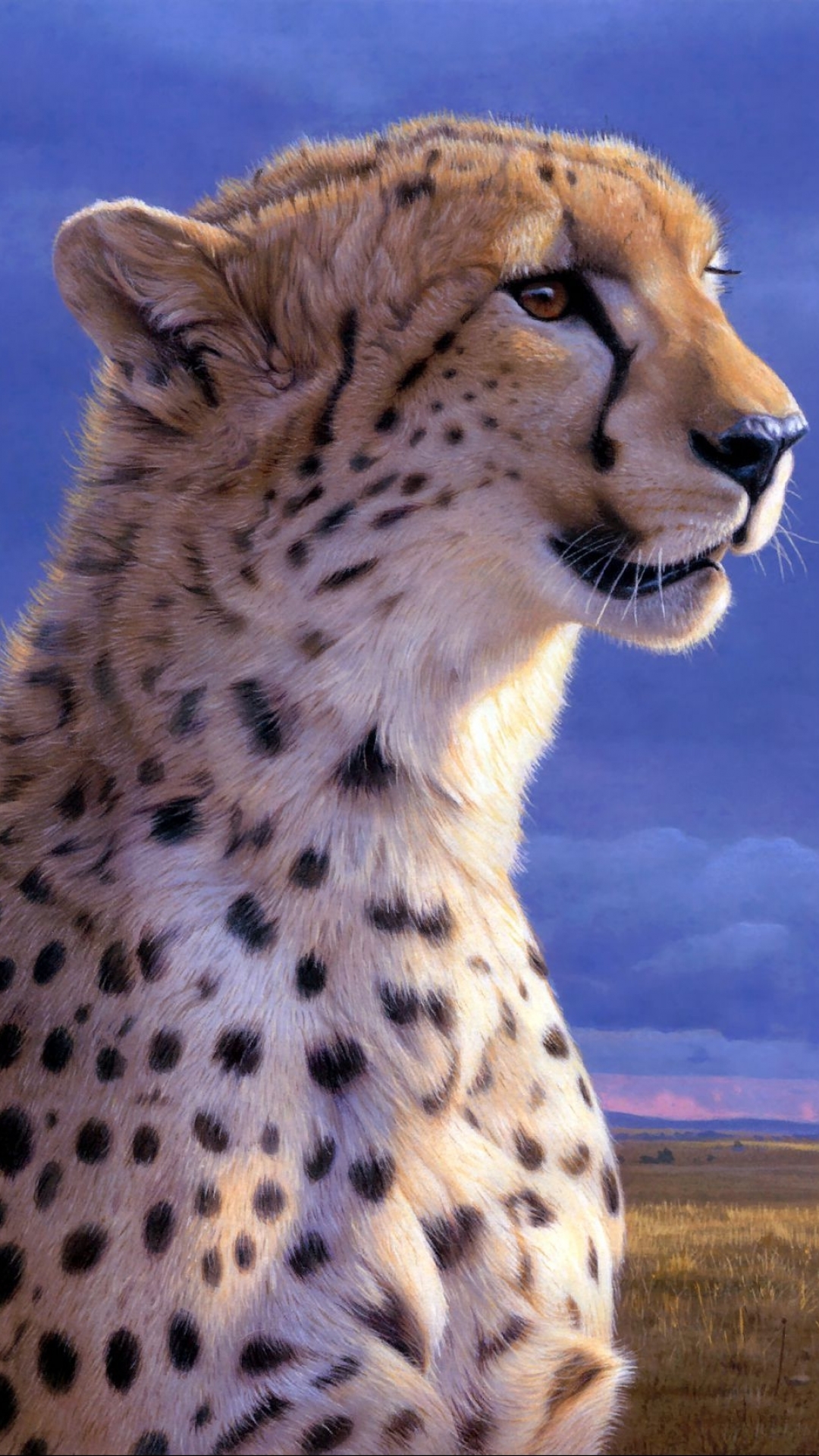 Cheetah Phone Wallpaper by Daniel Smith