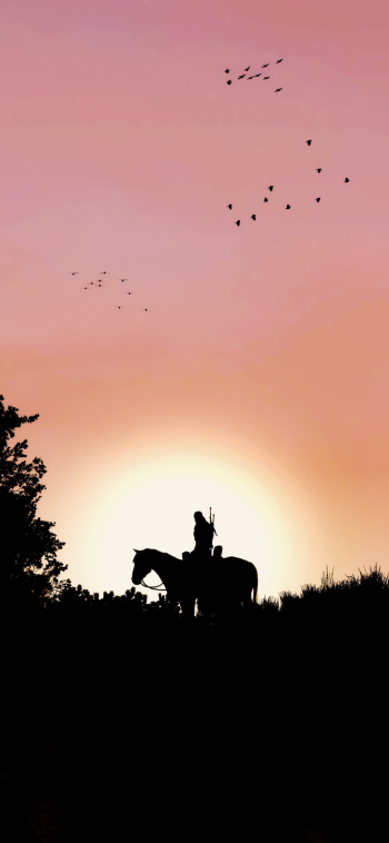  The King of the Hill by HodgeDogs