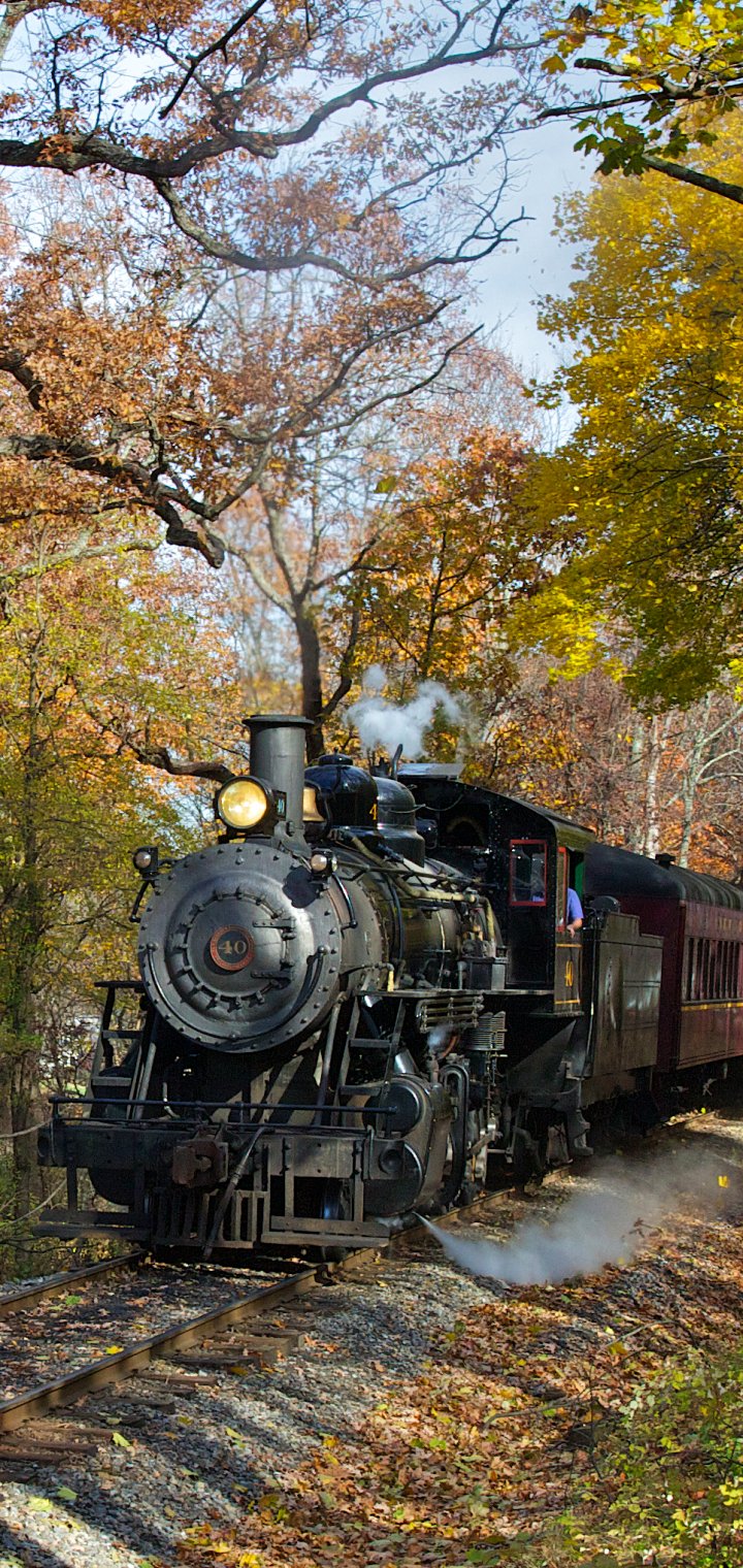 Phone wallpaper of a black steam train locomotive vehicle chugging along autumn tracks, a vintage train framed by golden and orange fall trees.