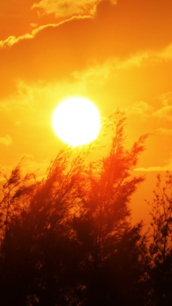 Windy Sunset