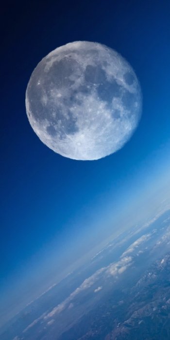  There's A Moon Out Tonight ♪♫