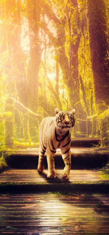  Majestic Tiger Walking Through the Jungle