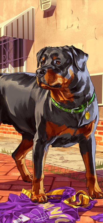 rottweiler dog Chop (Grand Theft Auto) video game Grand Theft Auto V Phone Wallpaper