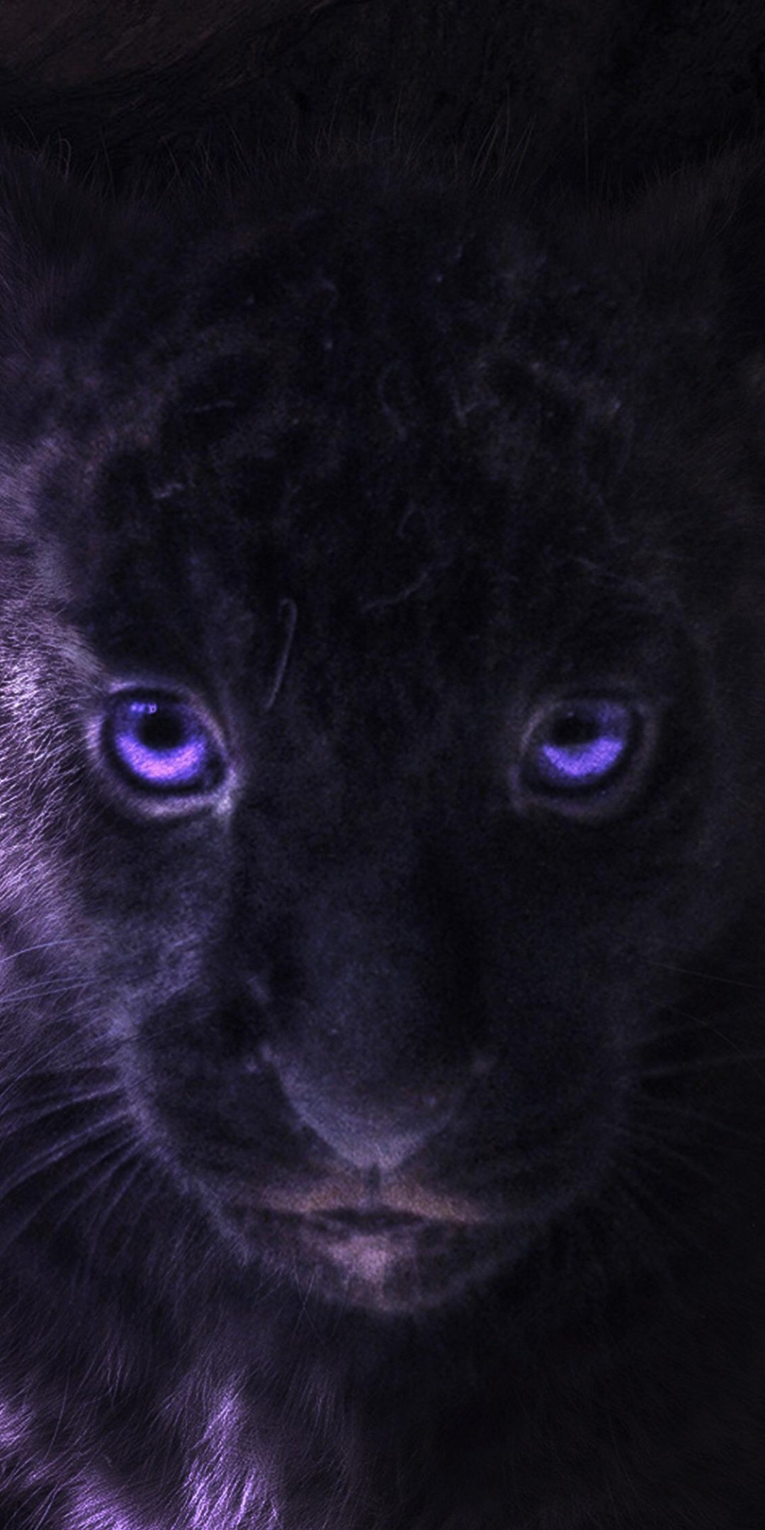 Download Simba Movie The Lion King (2019) Phone Wallpaper