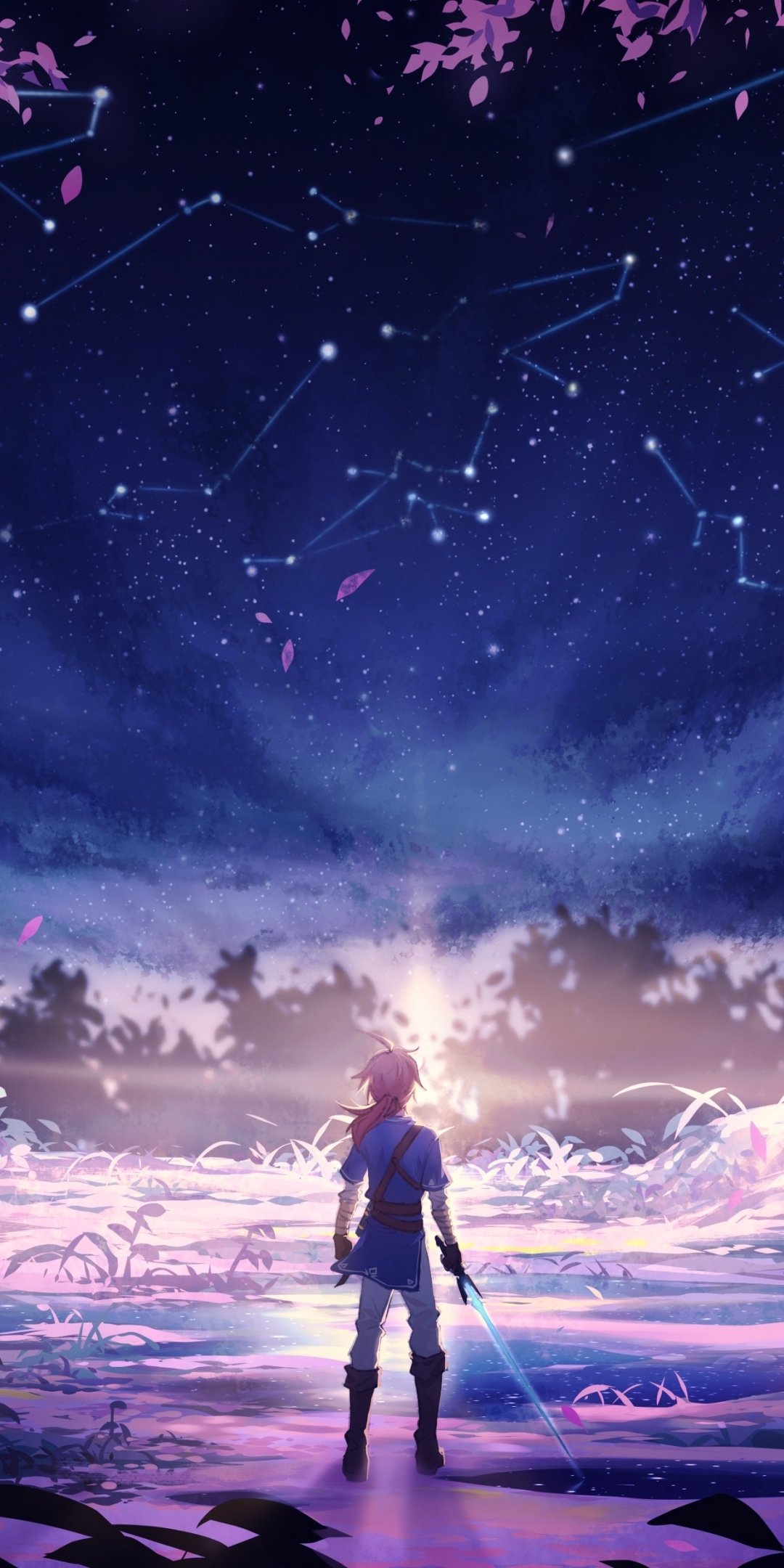 Phone wallpaper: Link from the video game The Legend of Zelda: Breath of the Wild stands with a glowing sword beneath a starry, constellation-filled sky.