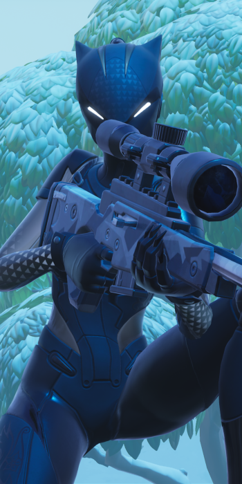  Fortnite | Lynx (Black Edition)