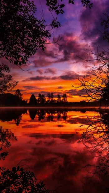  Sunrise Through the Trees by Bilder_meines_Lebens