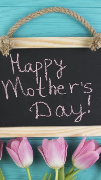 tulip pink flower flower holiday Mother's Day Phone Wallpaper