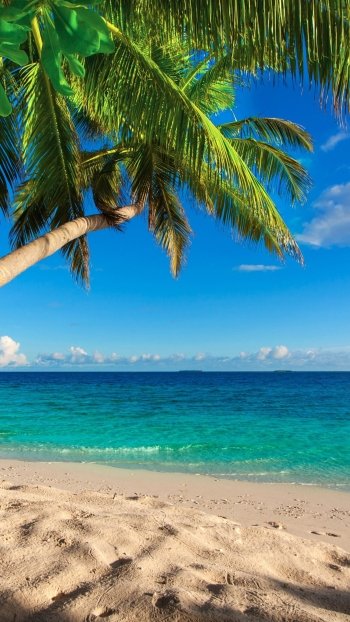 sky horizon sand nature tropics beach sea ocean Phone Wallpaper