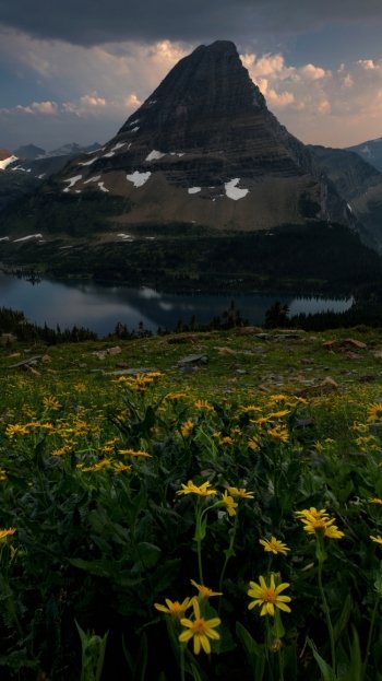 yellow flower peak landscape nature mountain flower lake Phone Wallpaper