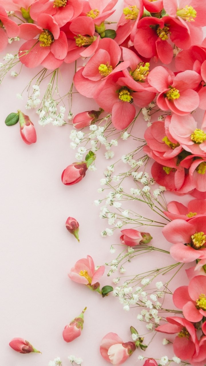 Download Still Life Pink Flower Man Made Flower Phone Wallpaper