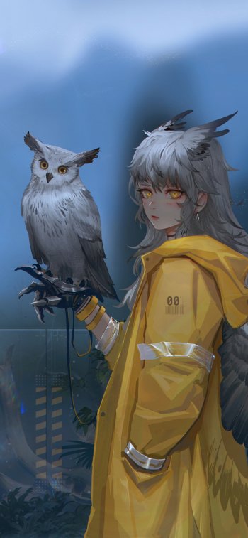 owl wings Anime Original Phone Wallpaper