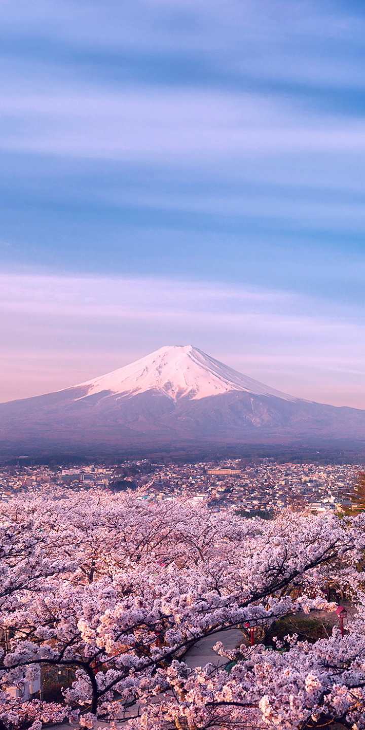 View of Mount Fuji at Dusk