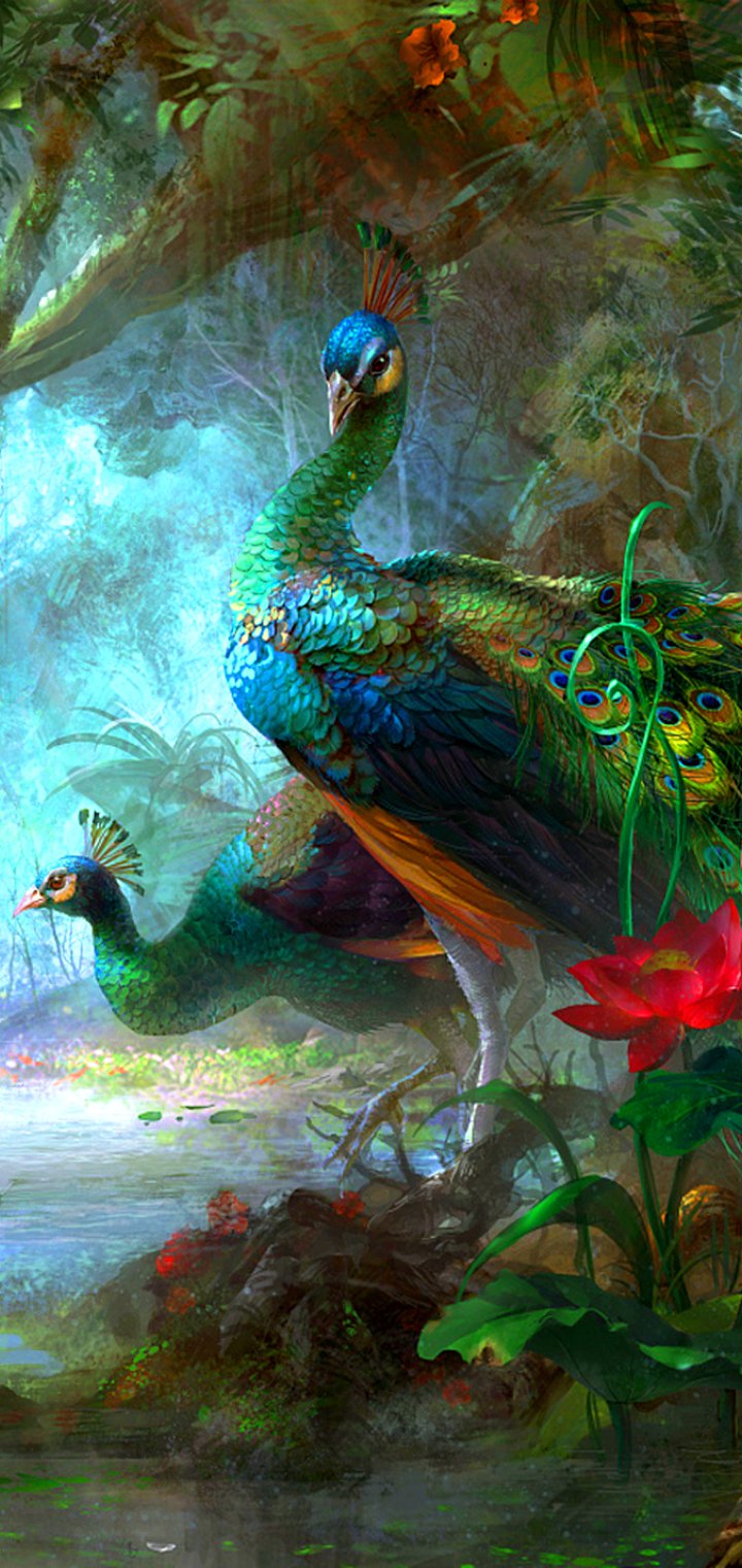 Download Bird Colorful Peafowl Animal Peacock Phone Wallpaper