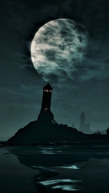  Moonlit Night