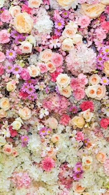  Summer Flowers