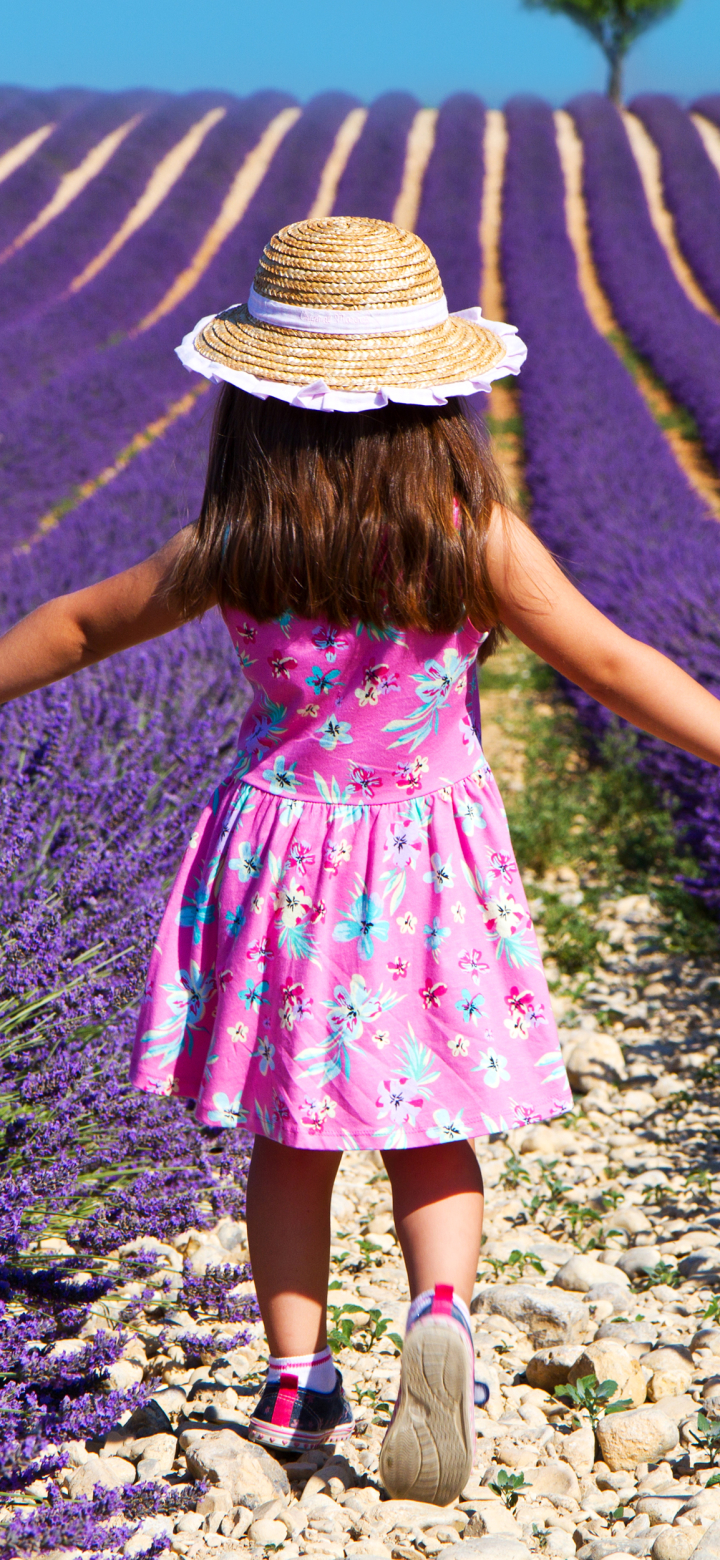 Little Girl in Lavender Field
