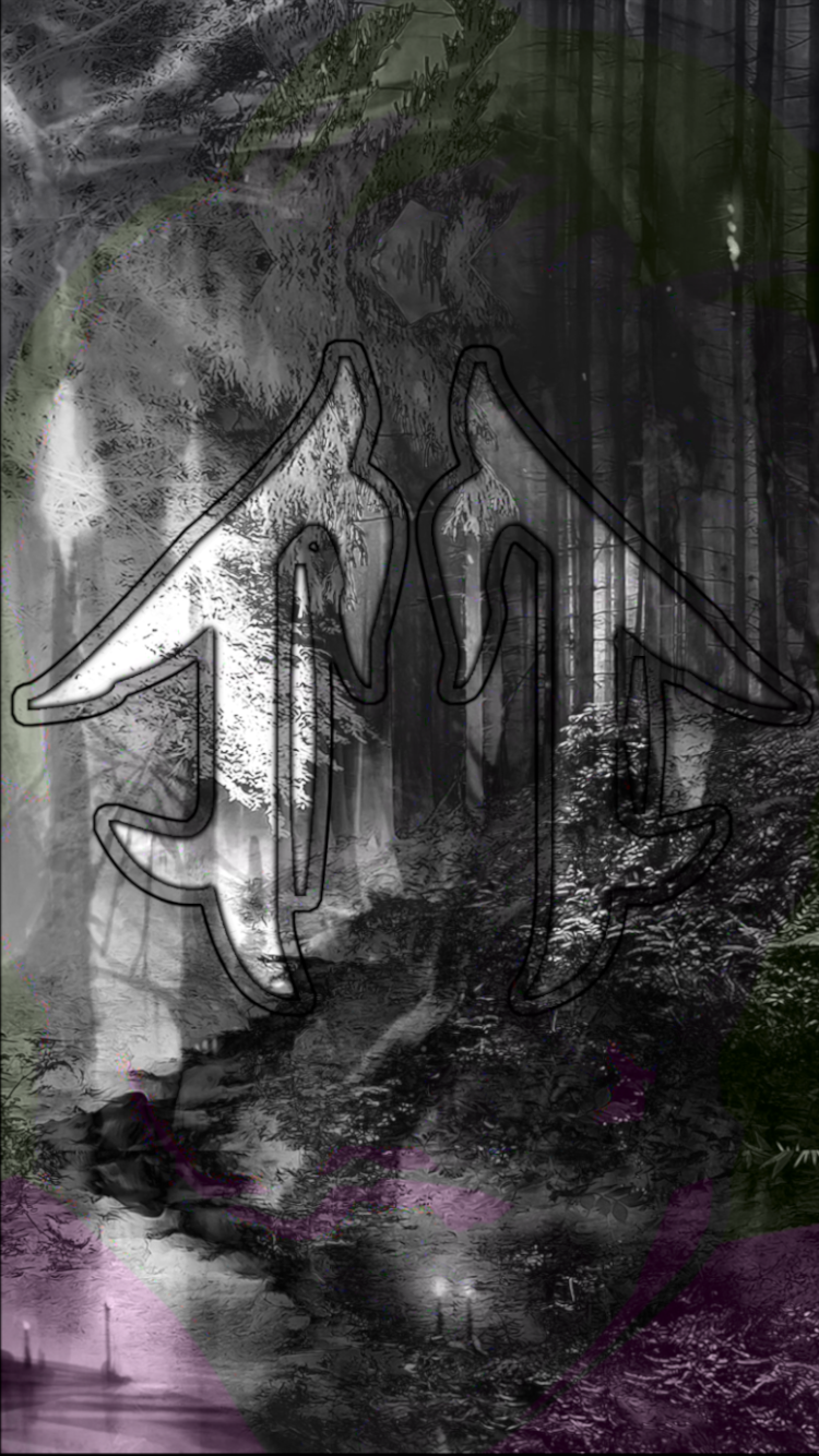 Download Black & White Nature Artistic Phone Wallpaper by Owlt