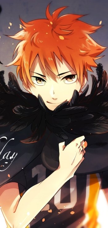 Shōyō Hinata Haikyū!! Anime Phone Wallpaper