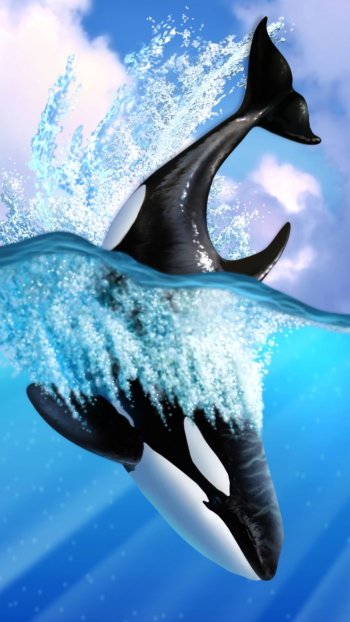  Whale Daving into Ocean