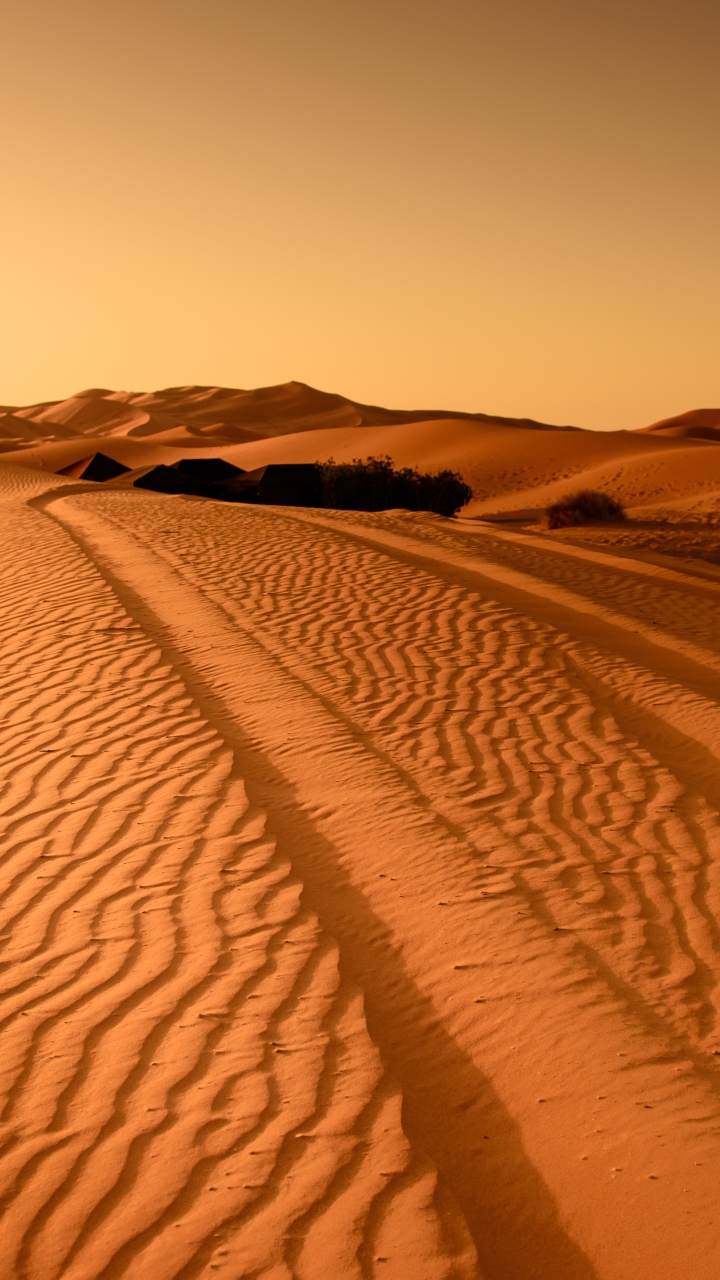 Quiet Desert