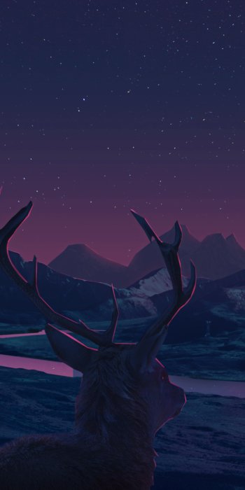  Deer Staring At Sunset by Steven Khong