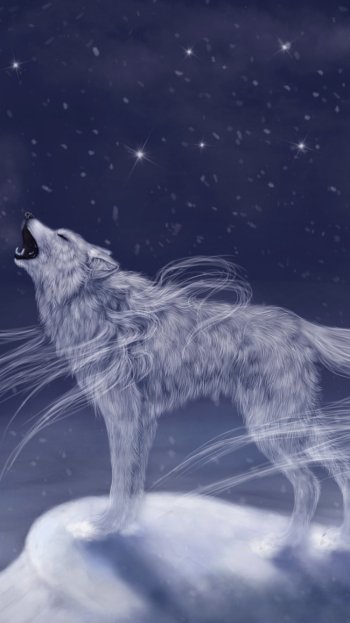  Snow wolf