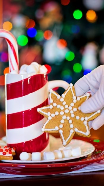  Santa helping himself to hot chocolate and cookies
