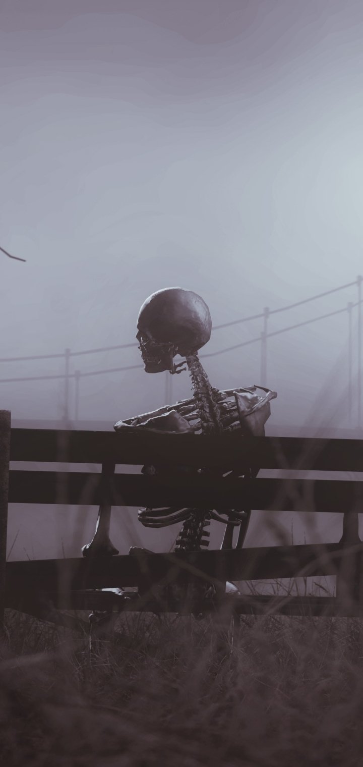 Dark phone wallpaper showing a lone skeleton sitting on a wooden fence at foggy dusk, silhouetted against a muted sky and distant power lines.