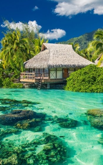 lagoon tropics photography tropical Phone Wallpaper
