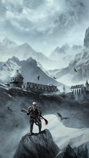 warrior video game The Elder Scrolls Online Phone Wallpaper