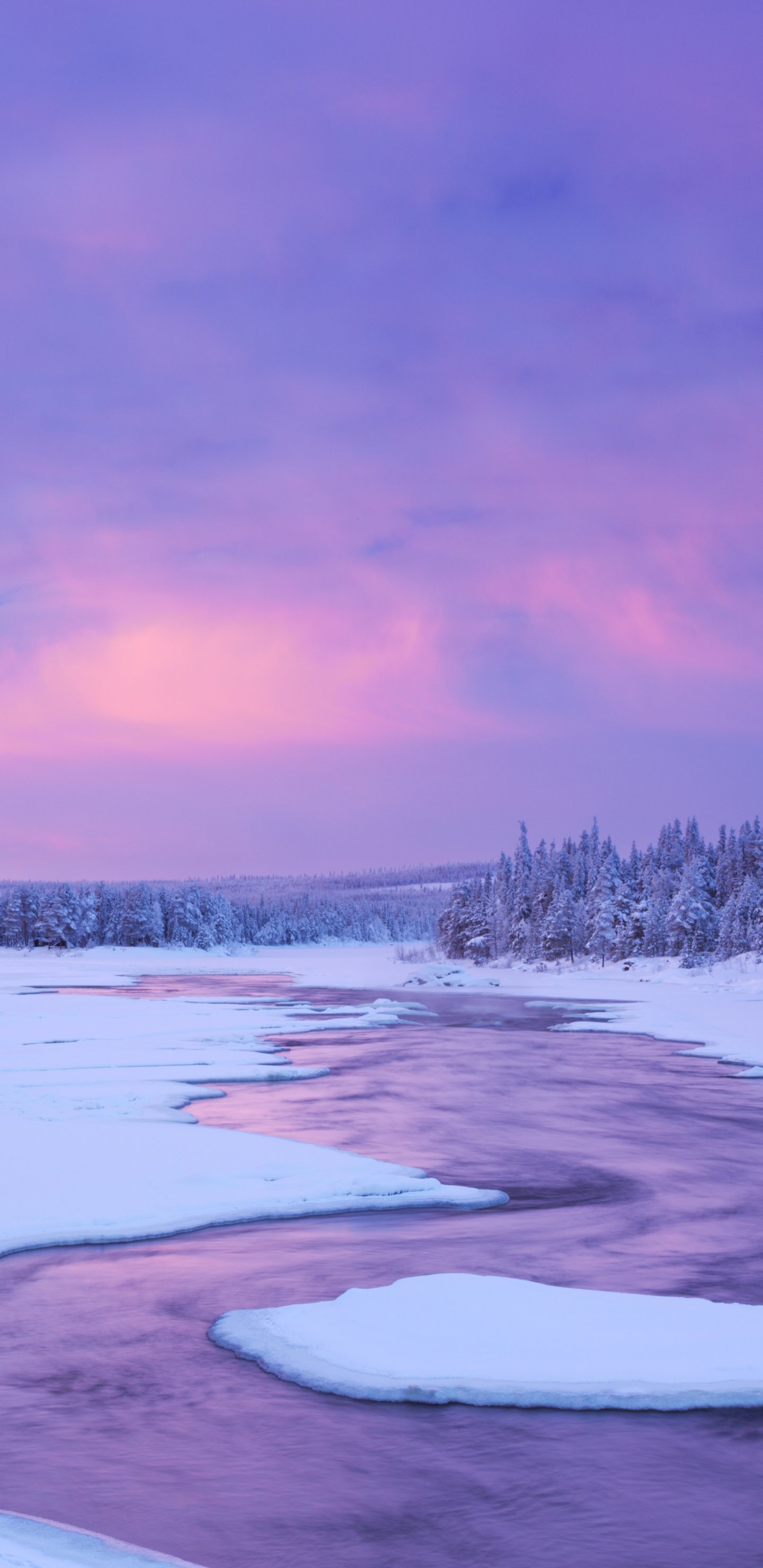 Download Snow Sky Nature Winter Phone Wallpaper