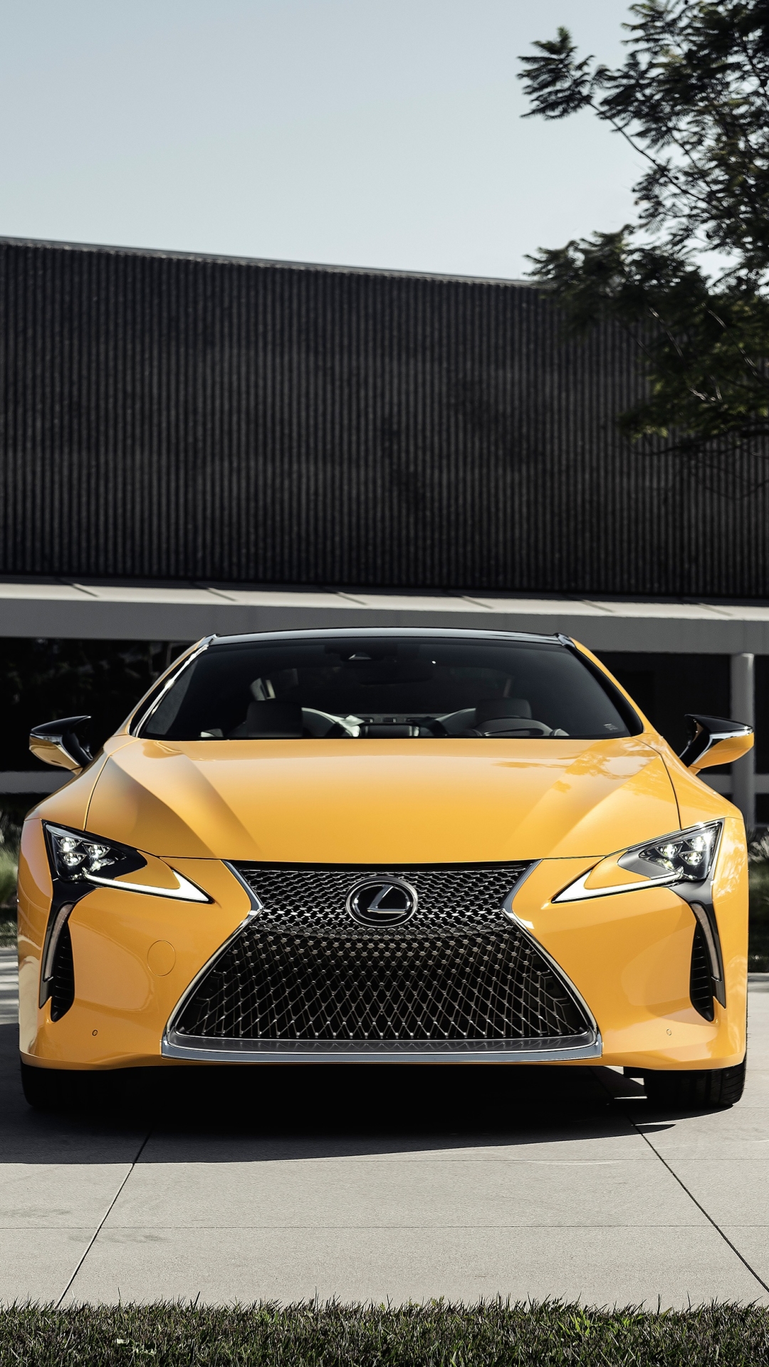 2018 Lexus LC 500 Inspiration Concept