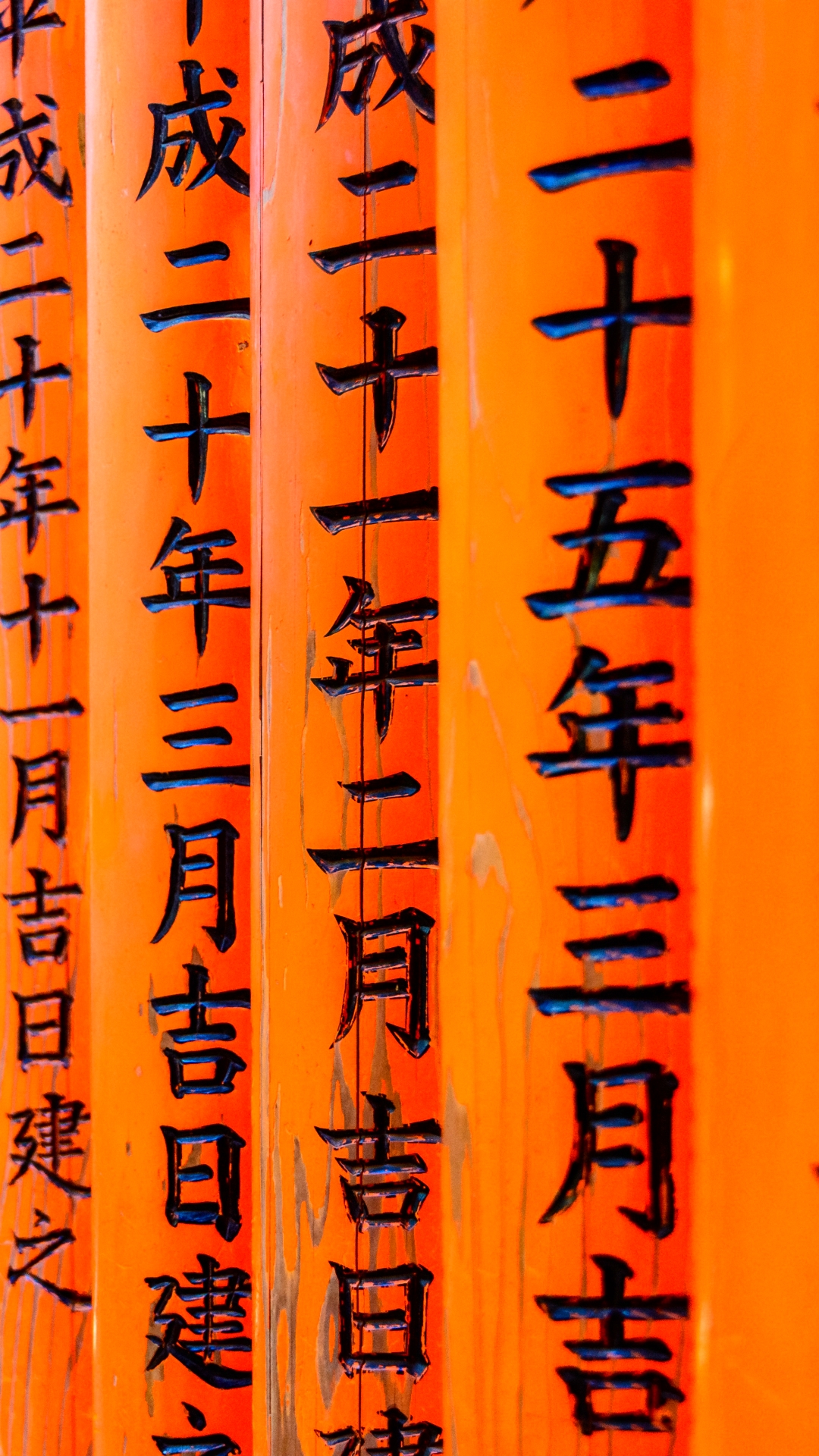 Fushimi Inari-taisha Phone Wallpaper