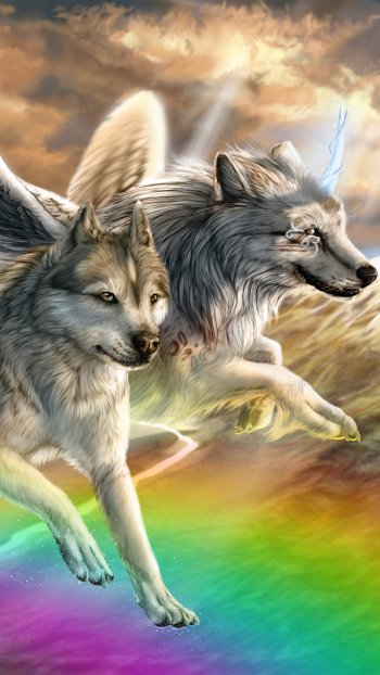  Over the rainbow by WolfRoad