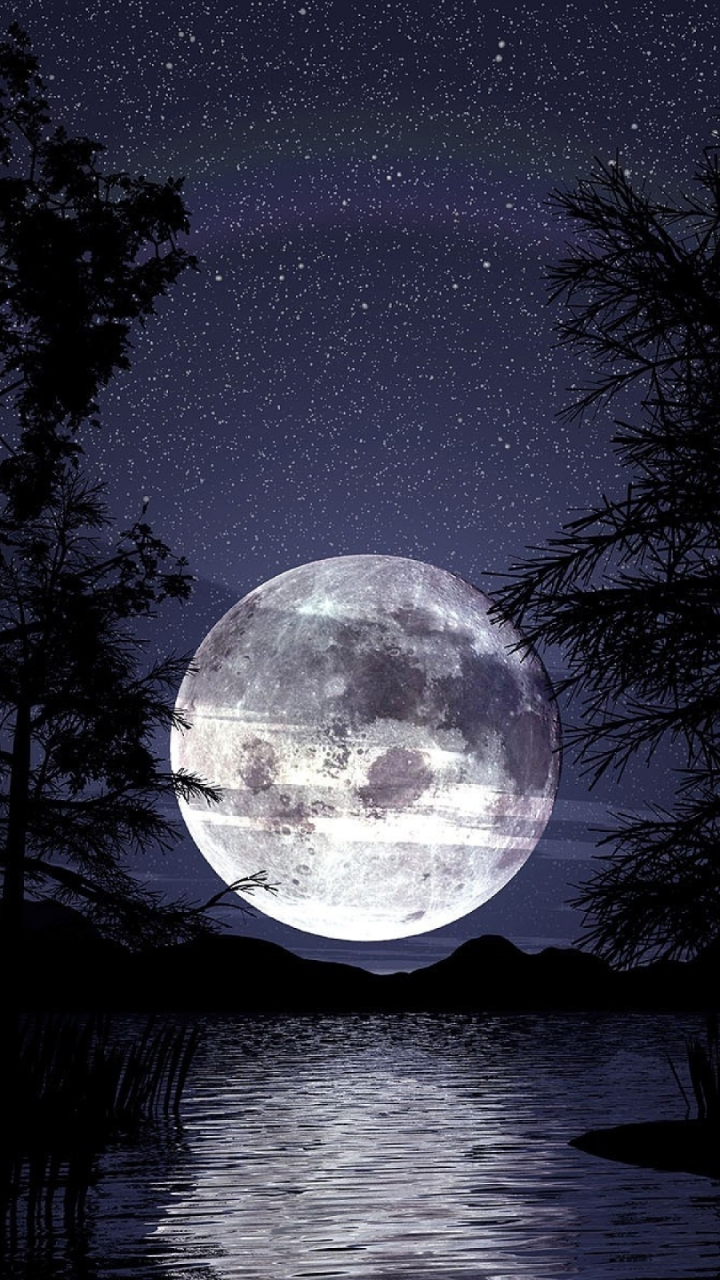 Download Silhouette Sky Night Artistic Moon Phone Wallpaper