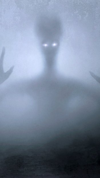  Creature in the Fog