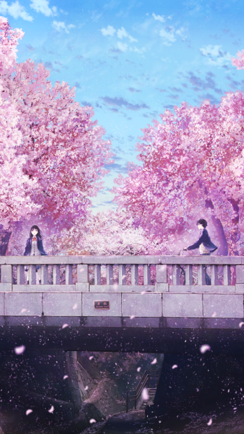 flower sakura Anime love Phone Wallpaper