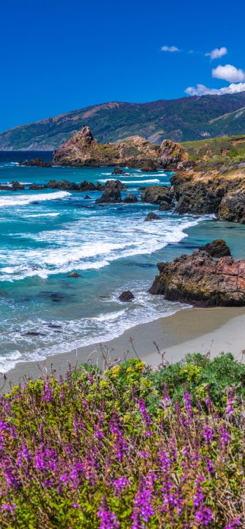 ocean USA California nature coastline Phone Wallpaper