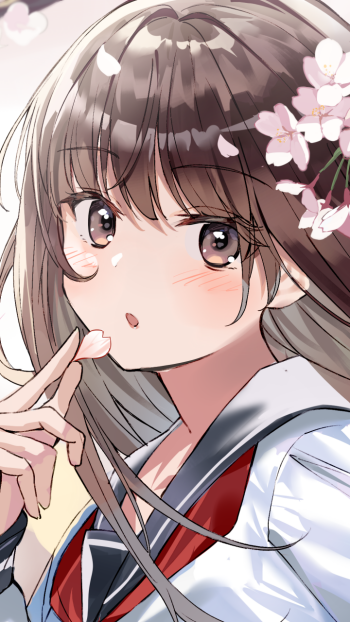 brown eyes cherry blossom brown hair Anime girl anime girl Phone Wallpaper