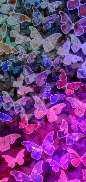 colorful blue pink colors Animal butterfly Phone Wallpaper