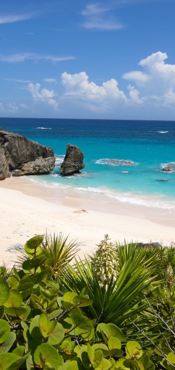 bermuda coast ocean nature beach Phone Wallpaper