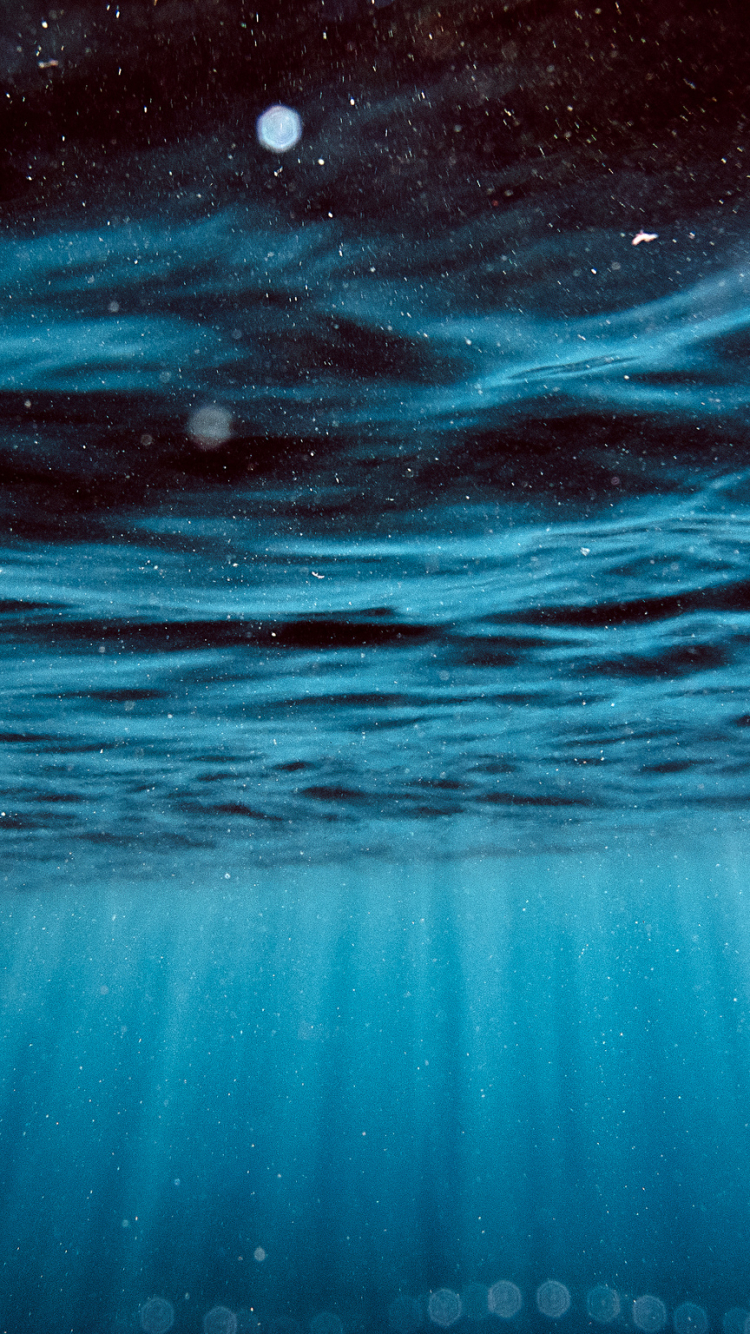 Underwater Phone Wallpaper