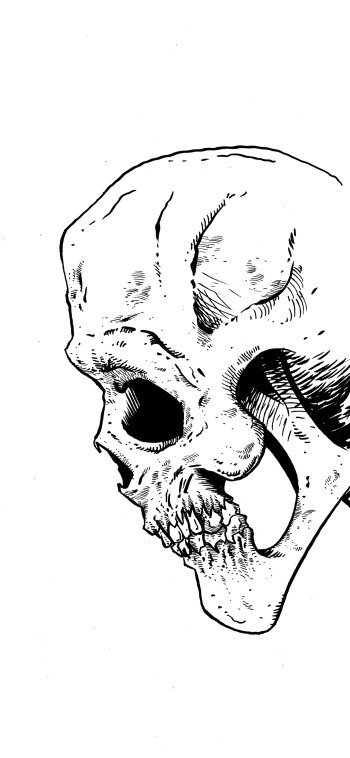 dark skull Phone Wallpaper