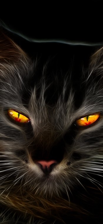  Black Cat with Amber Eyes