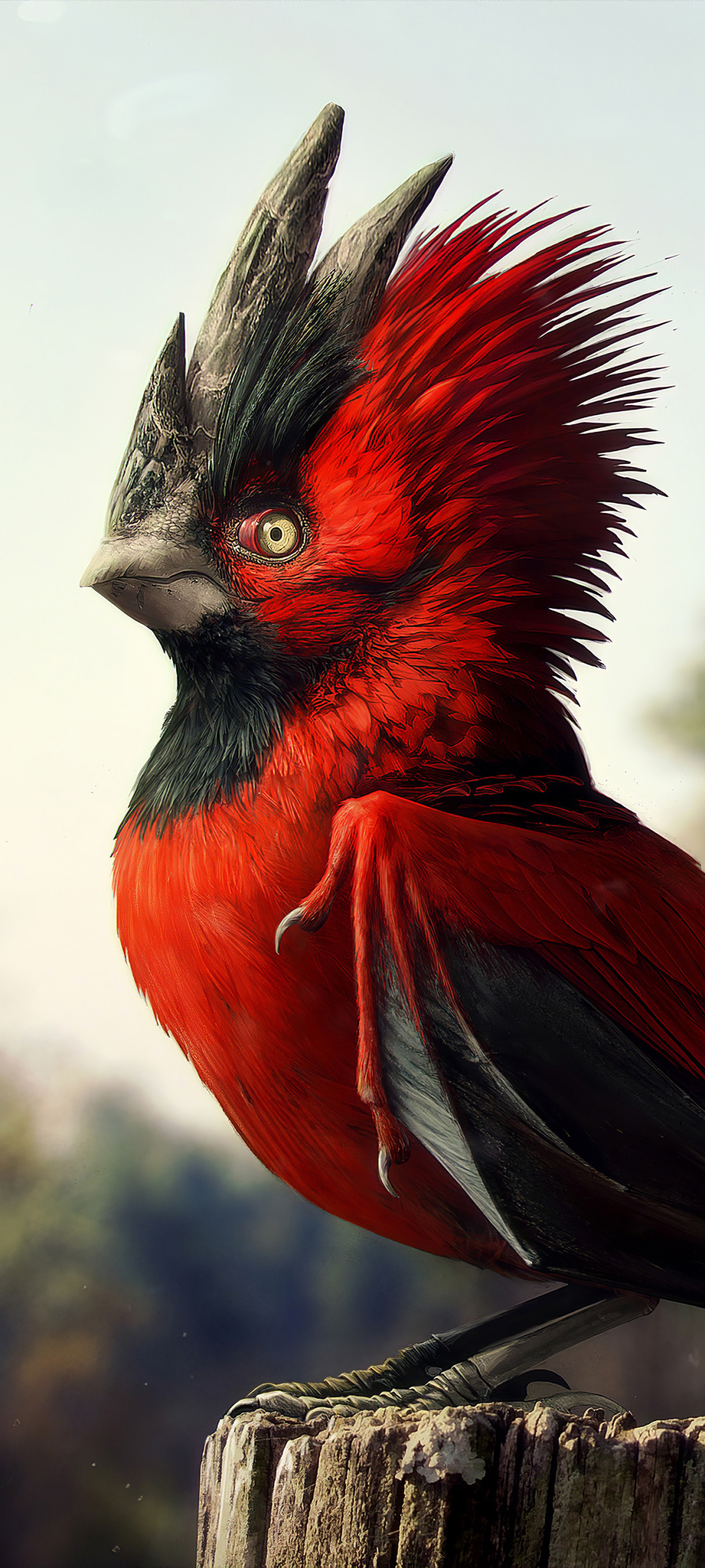 CD Projekt Red Bird
