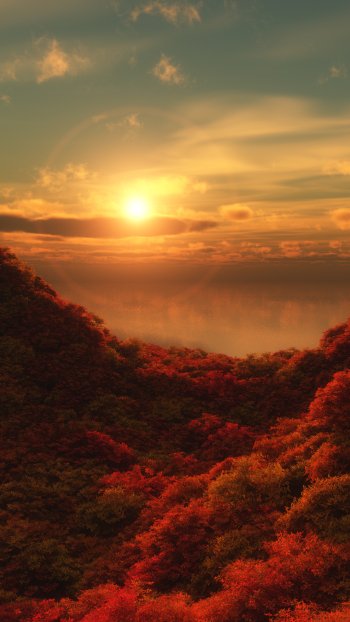nature fall Phone Wallpaper