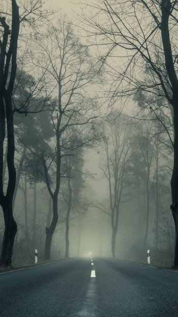 fog man made road Phone Wallpaper